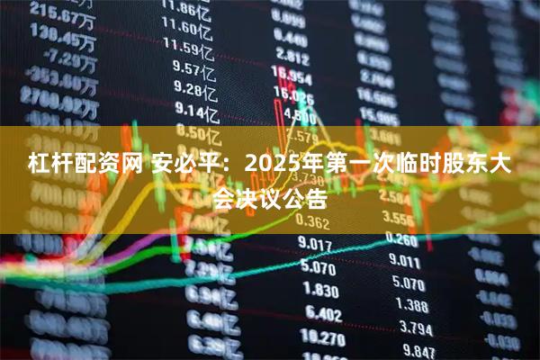 杠杆配资网 安必平：2025年第一次临时股东大会决议公告