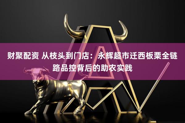 财聚配资 从枝头到门店：永辉超市迁西板栗全链路品控背后的助农实践