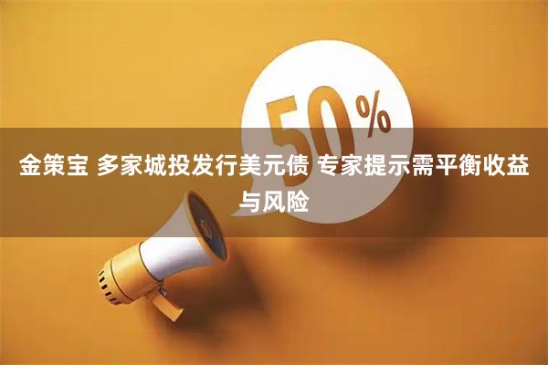 金策宝 多家城投发行美元债 专家提示需平衡收益与风险
