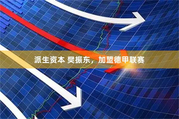 派生资本 樊振东，加盟德甲联赛