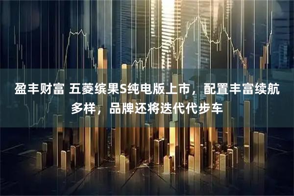 盈丰财富 五菱缤果S纯电版上市，配置丰富续航多样，品牌还将迭代代步车