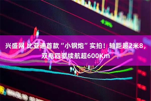 兴盛网 比亚迪首款“小钢炮”实拍！轴距超2米8，双电四驱续航超600Km
