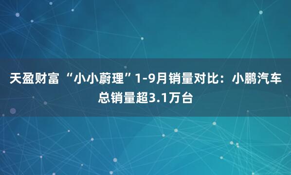 天盈财富 “小小蔚理”1-9月销量对比：小鹏汽车总销量超3.1万台