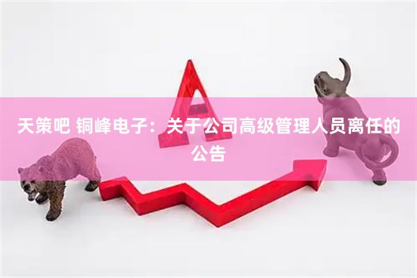 天策吧 铜峰电子：关于公司高级管理人员离任的公告