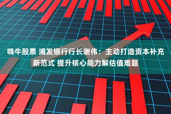 嗨牛股票 浦发银行行长谢伟：主动打造资本补充新范式 提升核心能力解估值难题