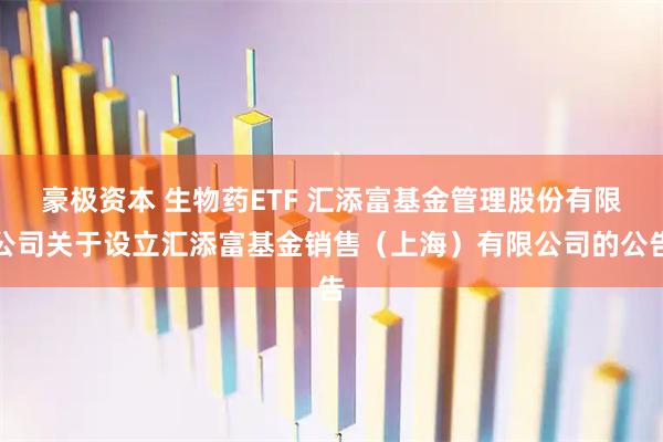豪极资本 生物药ETF 汇添富基金管理股份有限公司关于设立汇添富基金销售（上海）有限公司的公告