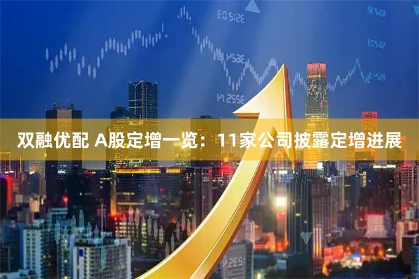 双融优配 A股定增一览：11家公司披露定增进展