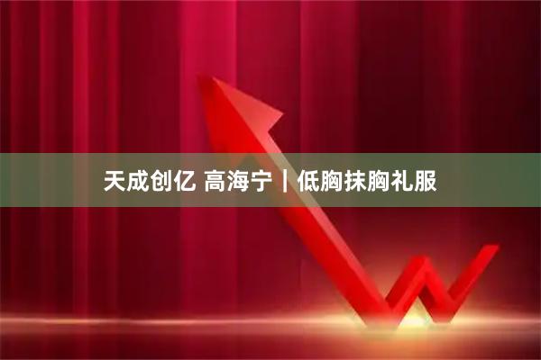 天成创亿 高海宁｜低胸抹胸礼服