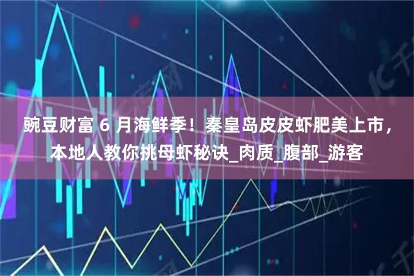 豌豆财富 6 月海鲜季！秦皇岛皮皮虾肥美上市，本地人教你挑母虾秘诀_肉质_腹部_游客